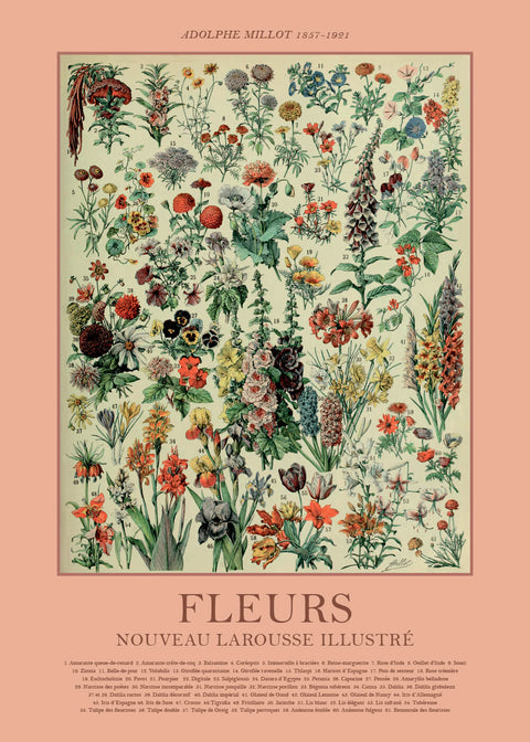 Fleurs - Adolphe Millot vintage leksikon plakat