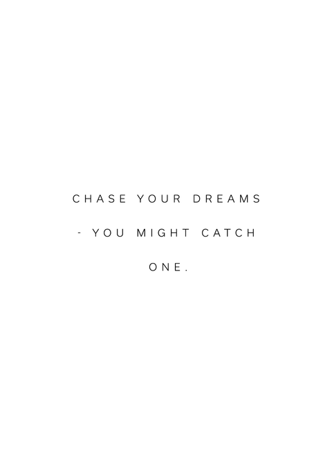 "Chase your dreams - you might catch one" citatplakat