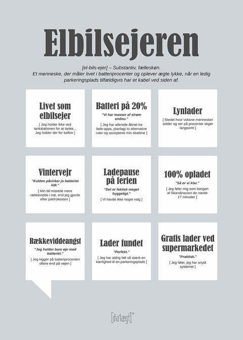 Elbilsejeren