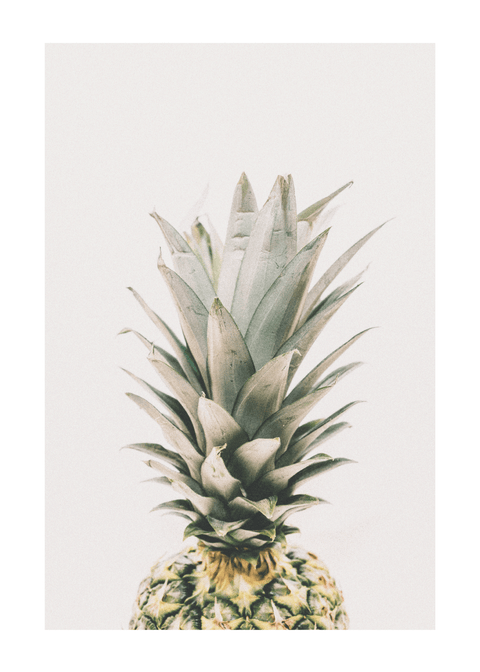 Soft pineapple - plakat