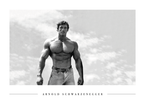 Arnold Schwarzenegger - Plakat