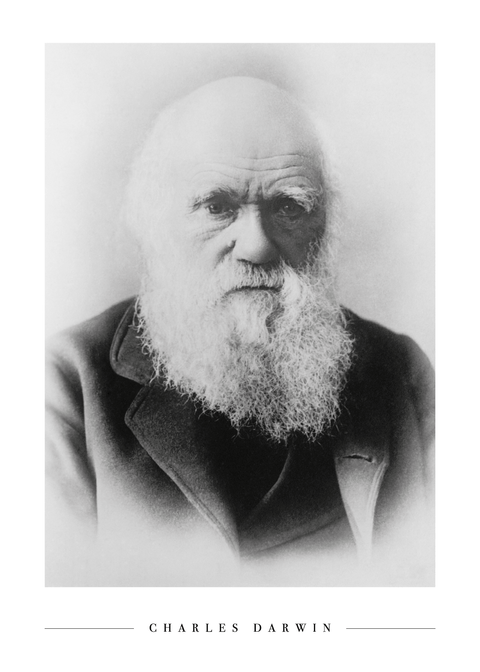 Charles Darwin - Plakat