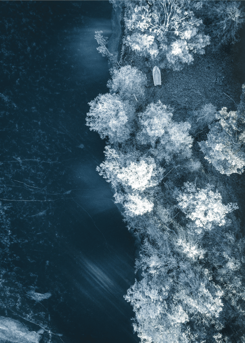 Frosty forrest - Airpixels plakat