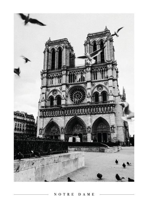 Notre Dame - Plakat