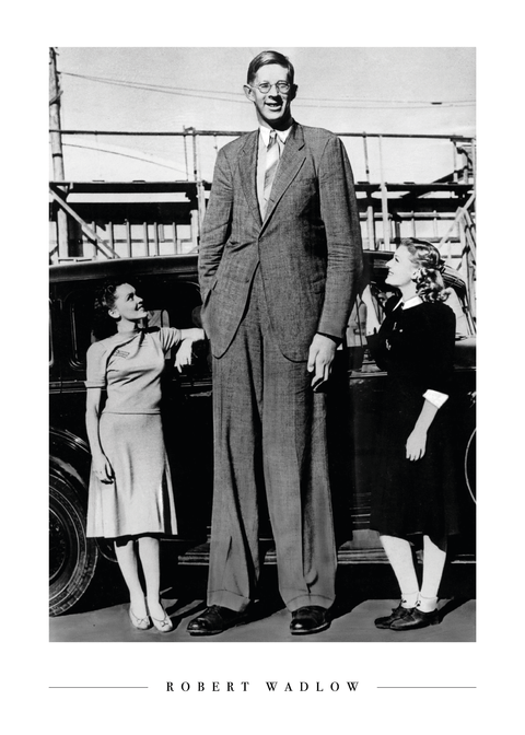 Robert Wadlow - Plakat