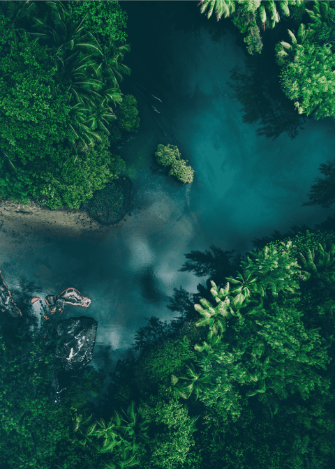 Seychellerne - Airpixels plakat