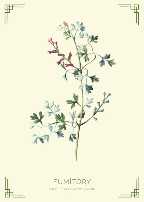 Fumitory- Frederick Edward Hulme retro naturplakater