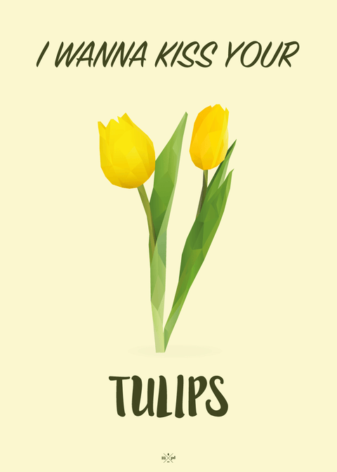 Tulips