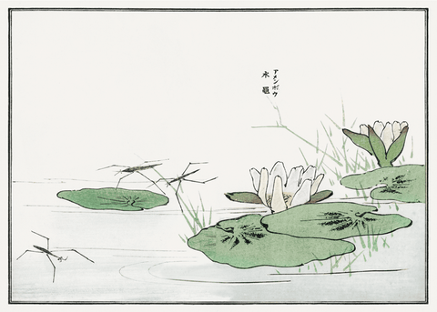 Water striders on a pond - Japansk kunstplakat