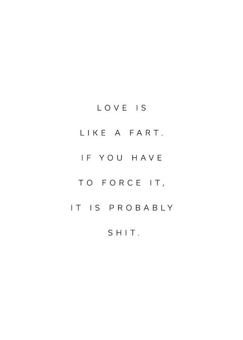 "Love is like a fart. If you have to force it, it is probably shit" citatplakat