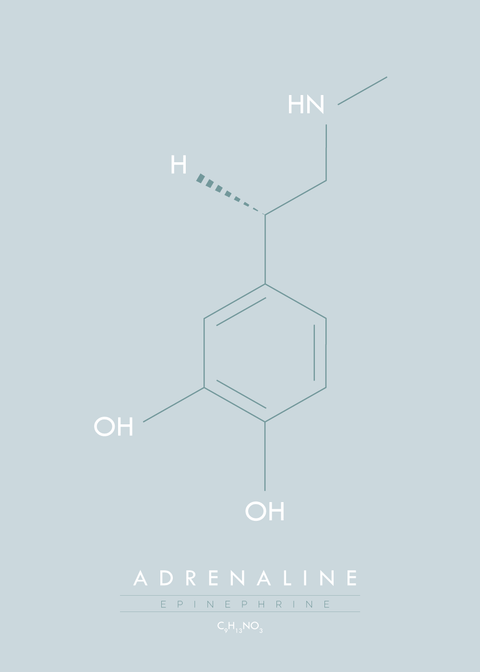 Adrenaline - Molekyle plakat