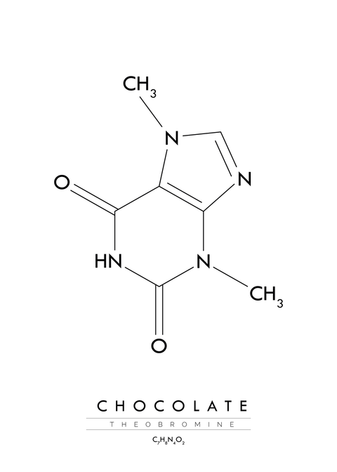 Chocolate - Molekyle plakat