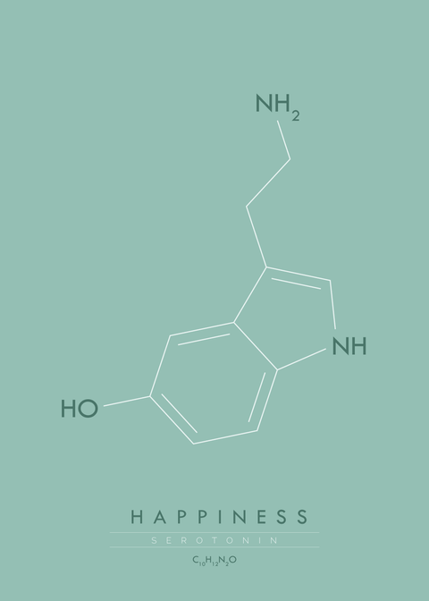 Happiness - Molekyle plakat