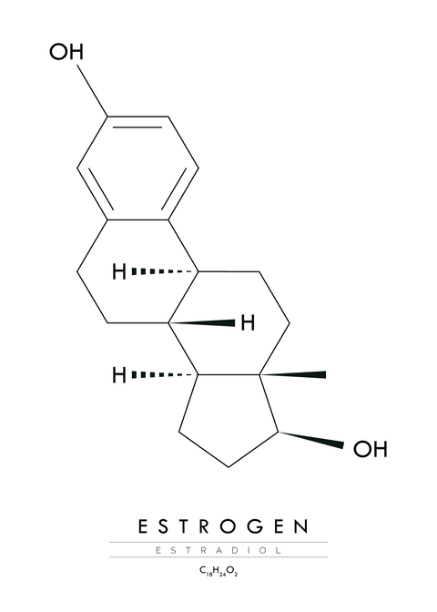 Estrogen - Molekyle plakat