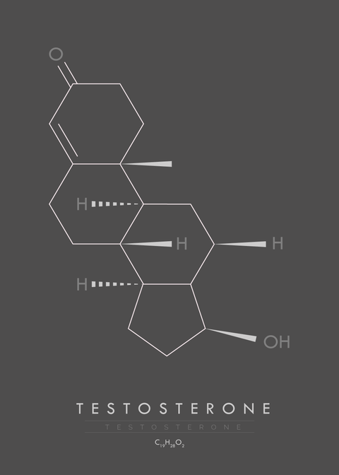 Testosterone - Molekyle plakat