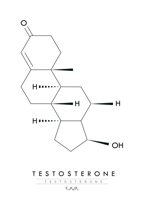 Testosterone - Molekyle plakat