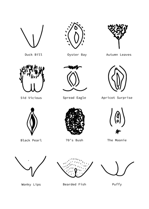 Types of vaginas plakat