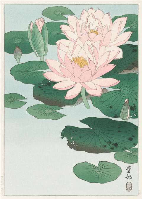 Waterlilies - Japansk kunstplakat