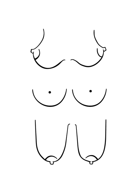 Boobies plakat nr. 2