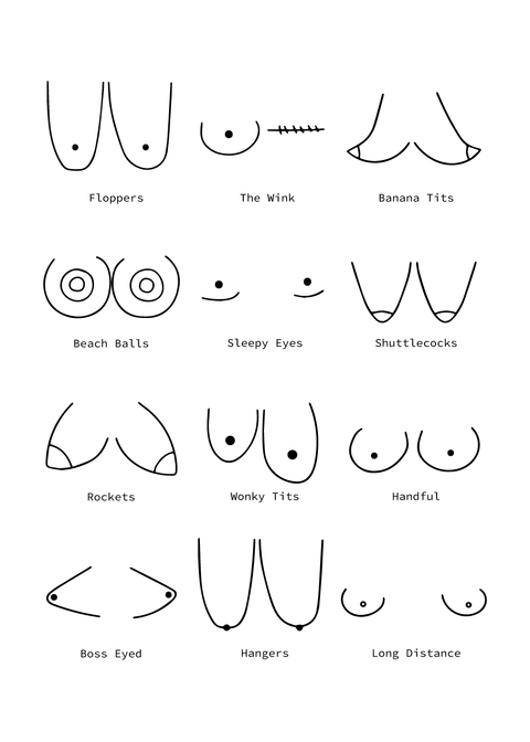 Types of Boobies plakat