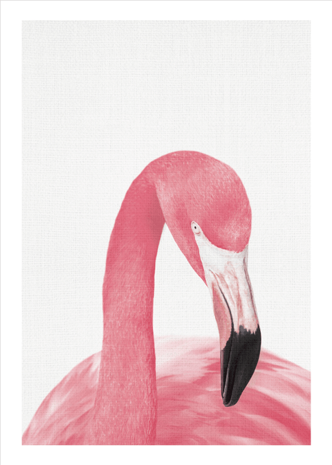 Posing flamingo plakat