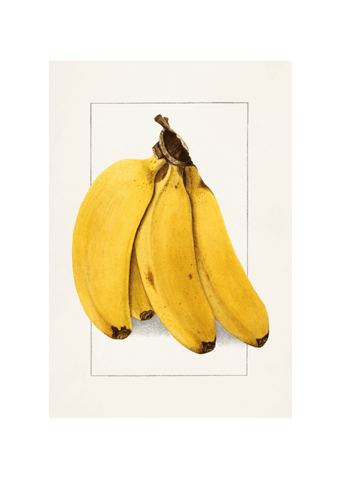 Bananer - Retro plakat