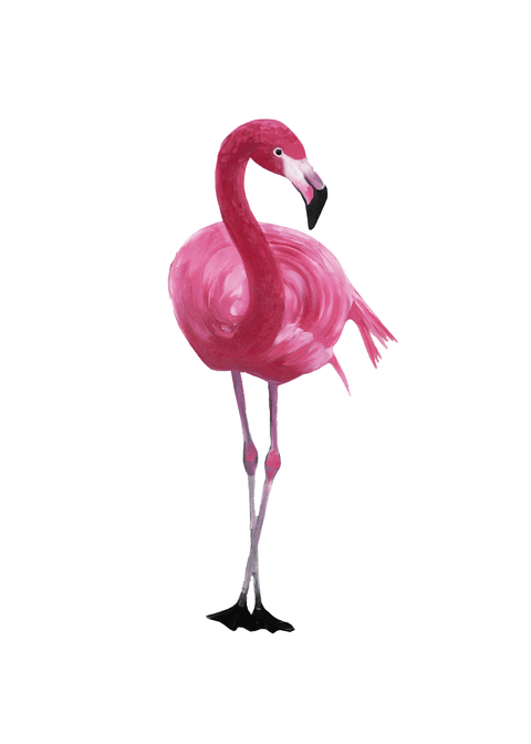 Flamingo plakat No 2