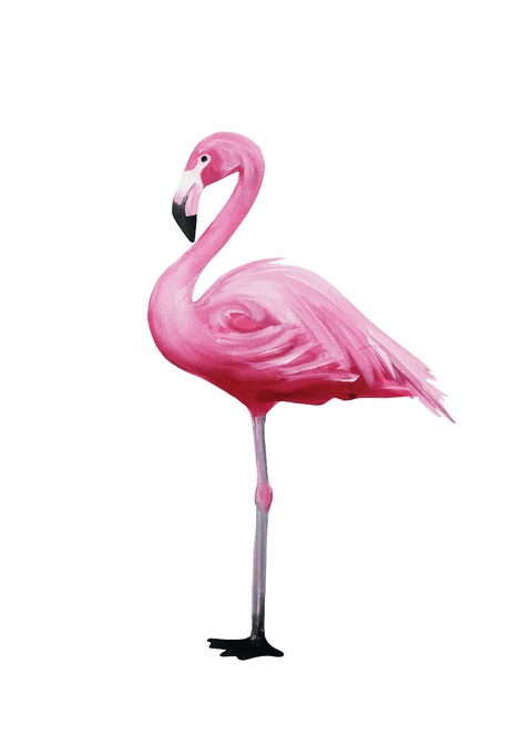 Flamingo plakat No 3