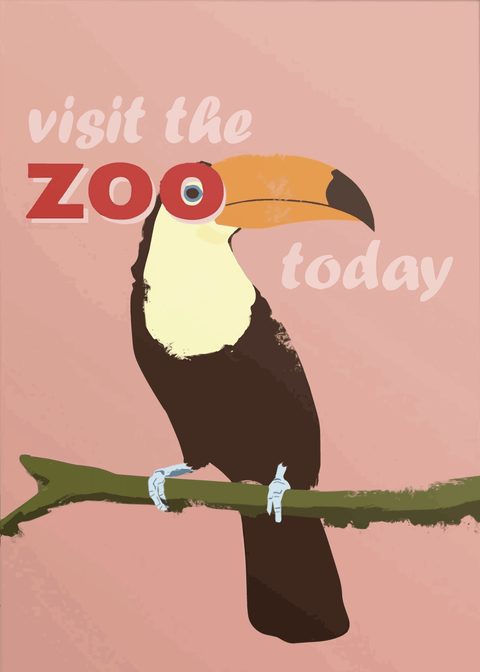 Zoo plakat - Tukan