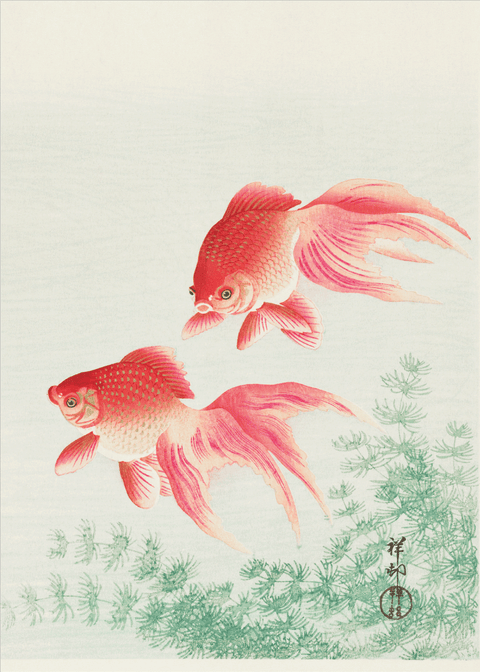 Goldfish - Japansk kunstplakat