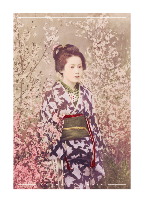 Geisha and Cherry Blossom - Japansk fotokunst plakat