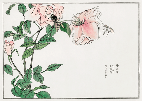 Bee and Flower - Japansk kunstplakat