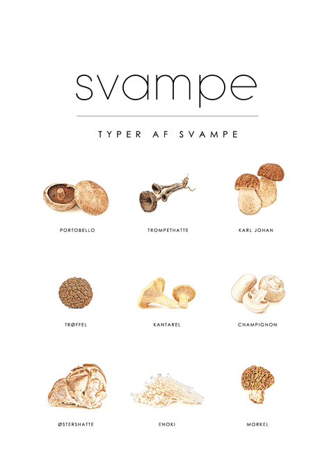 Svampe - Mad guide plakat nr. 2