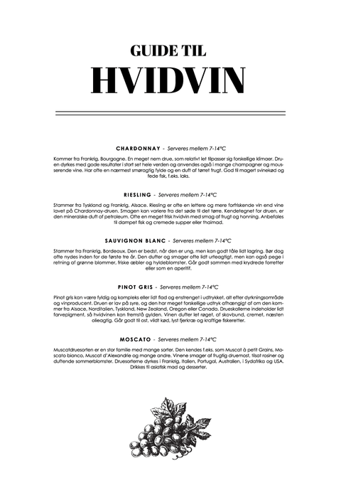 Hvidvin - Wine guide plakat