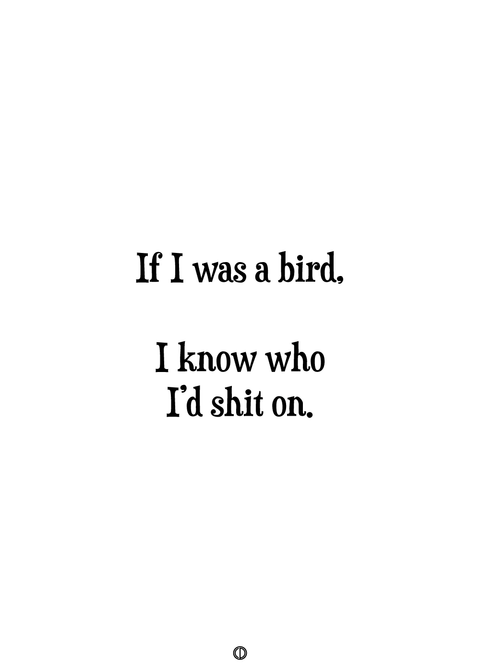 If I was a bird