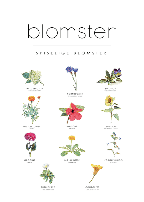 Spiselige blomster plakat