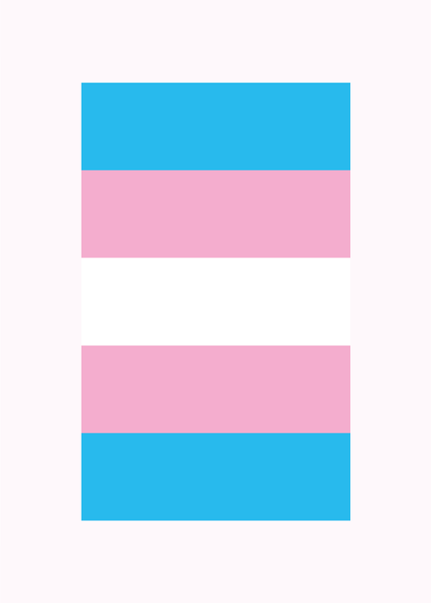 Transgender flag - LGBT plakat