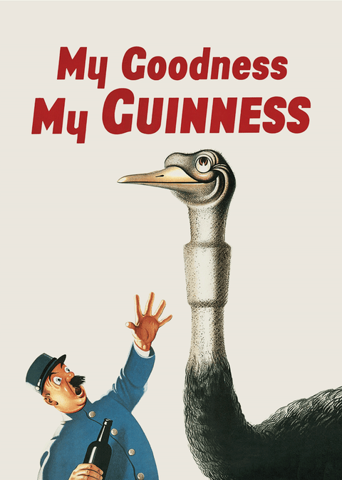 My goodness my guinness ostrich