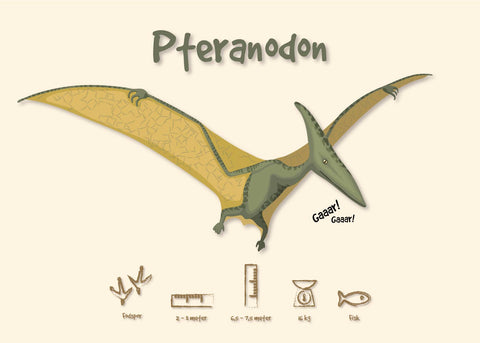 Pteranodon - Børneplakat