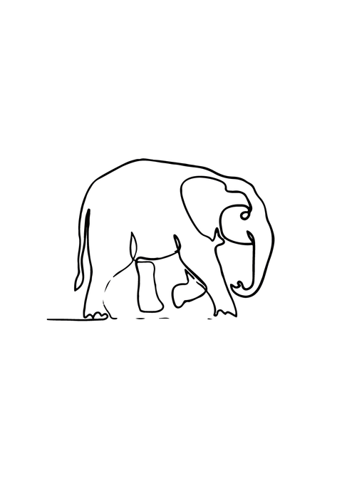 Elephant in one line plakat