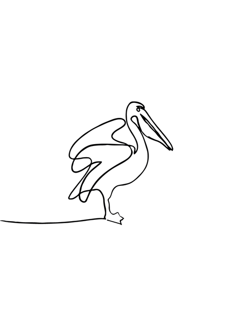 Pelican in one line plakat