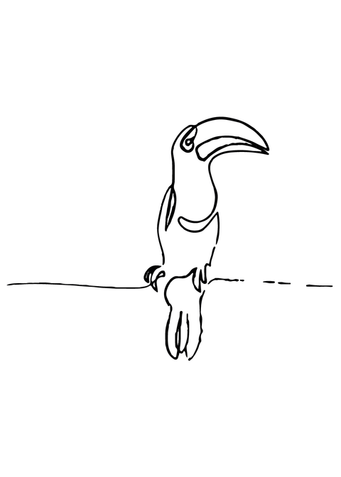 Toucan in one line plakat