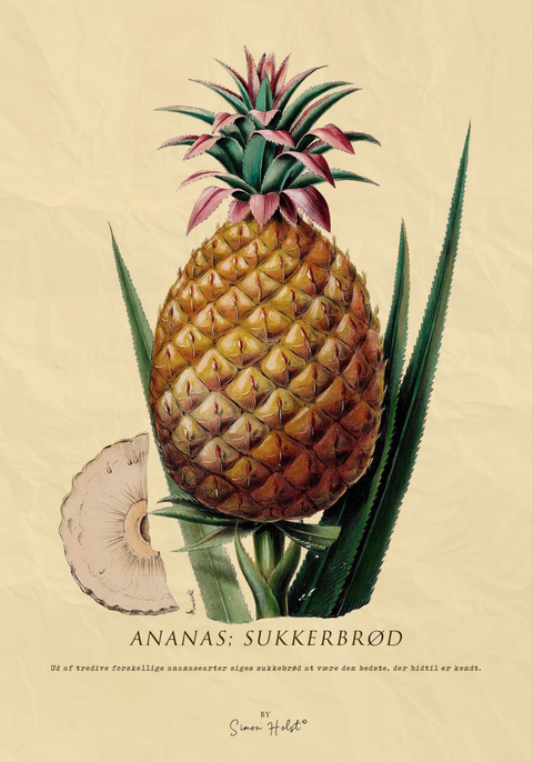 Ananas Plakat