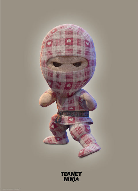 Ternet Ninja 2 - Grå Plakat