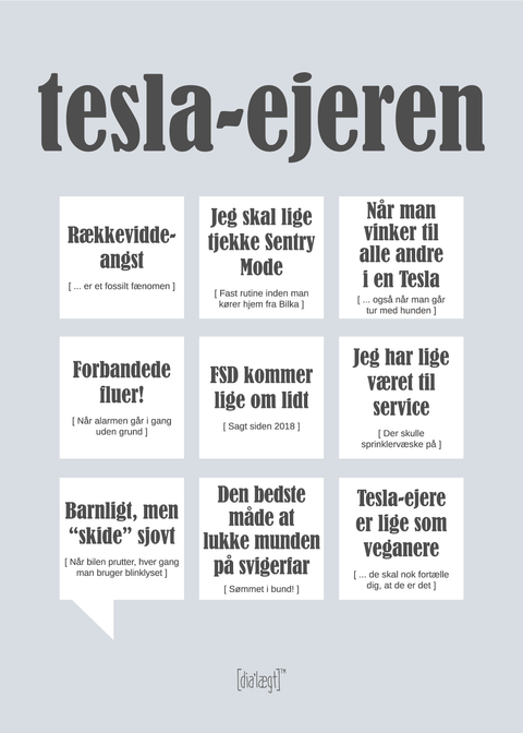 Tesla-ejeren Plakat