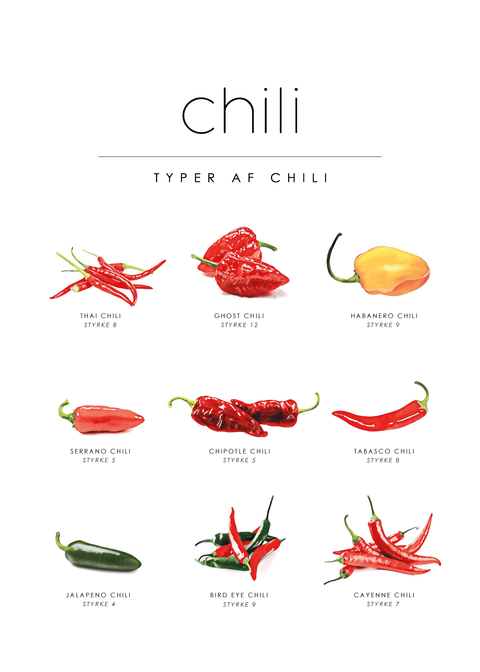 Chili – Mad guide plakat