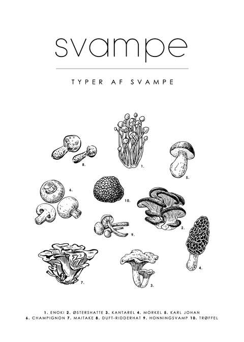 Svampe - Mad guide plakat