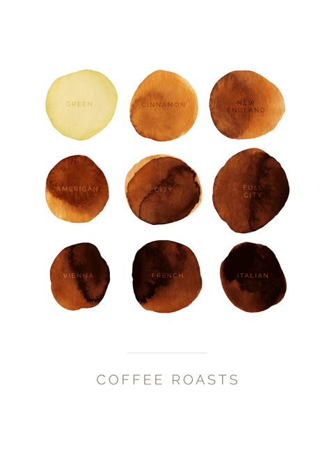 Coffee Roasts - kaffe plakat