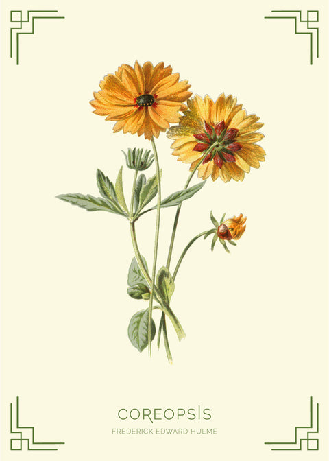 Coreopsis - Frederick Edward Hulme retro naturplakater