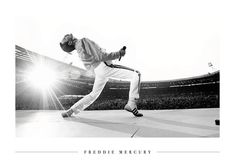 Freddie Mercury - Plakat